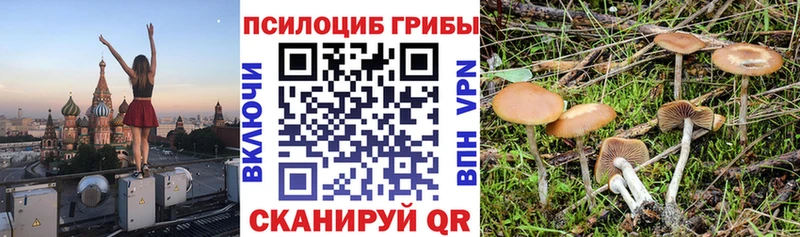 Псилоцибиновые грибы мухоморы блэк спрут как зайти Орехово-Зуево